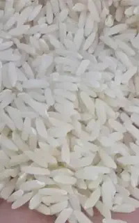 محصول.برنج سالم.نیمدانه.کشت امسال۳۶۰
