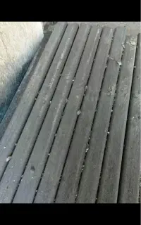 استادکارزغال چینی (جکسون)