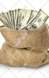 نیازمند سرمایه گذار