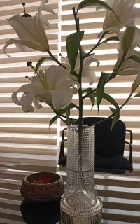 با ثبت شرکت به رویاهات برس