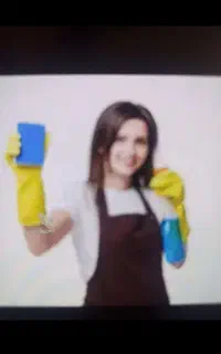 نظافتچی و نظافت