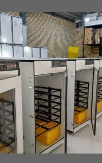 دستگاه جوجه کشی ++طراحــی زیــبا Estandard