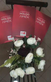 آموزش مجازی و غیر حضوری تخصصی نرم افزار هلو