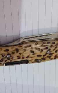 چاقو دسته شاخ