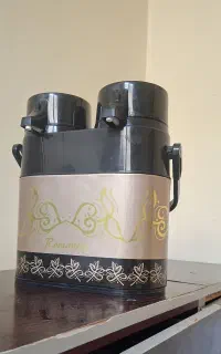 فلاکس دوقلو