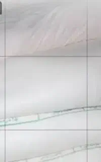 ارد
