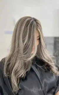 مدل لایت