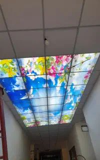 نصب پی وی سی اجرای سقف کاذب   سقف سرویس  تعمیرات
