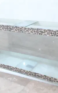 اکواریوم