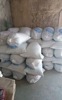 خوراک دام کنگه(خرماخشک دامی،کنگا،ضایعات خرما کهره)