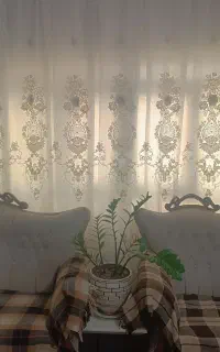 پرده و شال
