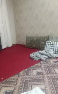 پشتی