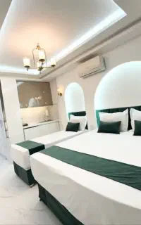 تور و چارتر مشهد مقدس