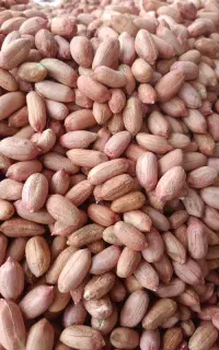 بادام زمینی گلی