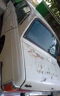 پیکان۸۱