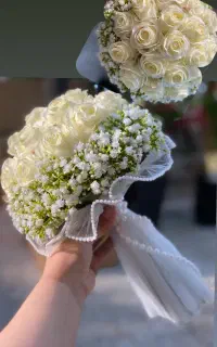 گل های عروس