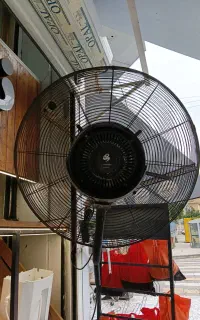 مه پاش