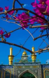 تور زیارتی مشهد