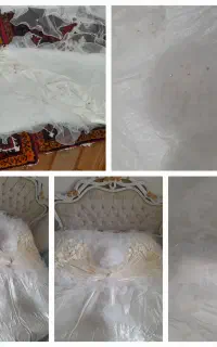 روتختی نو