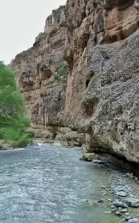 طبیعت