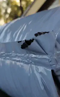 ذرت علوفه چاپر بسته بندی
