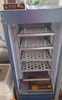 دستگاه جوجه کشی بلدرچین دماوند