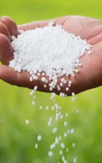 کود شیمیایی سفید اوره