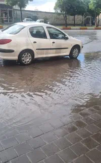 ۲۰۶ اس دی مدل ۹۴ بیرنگ