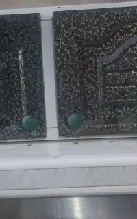 هود