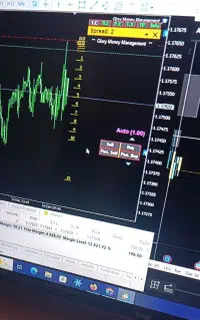 تریدر هستی و بلاتکلیف بخونش