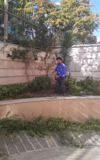 باغبانی سم پاشی تعویض خاک گلدان در تمام نقاط تهران