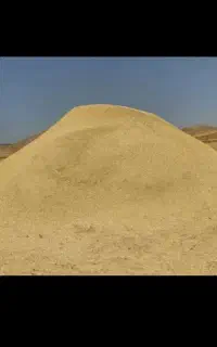 فروش کاه گندم نرم