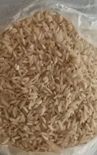 برنج طارم هاشمی