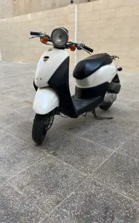 پاکشتی هوندا تودی