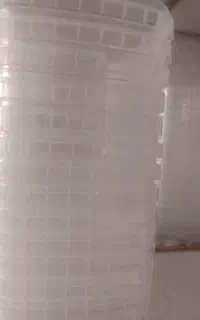 ظرف غذا