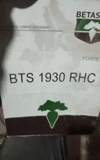 بذر چقندر