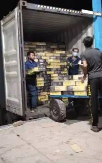 کارگر آقا سردخانه خرما