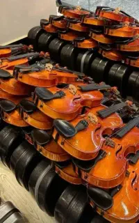 انواع ویولن از مبتدی تا حرفه ای