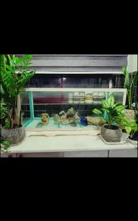 اکواریوم بزرگ