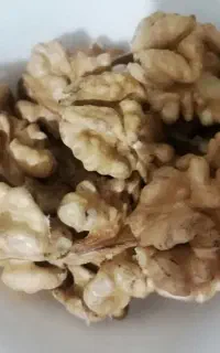 گردو مشکان