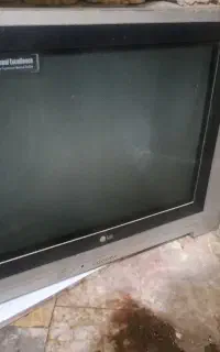 تلوزیون