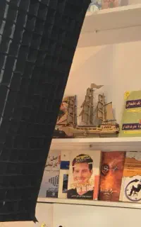 استخدام نیرو