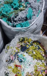کاموای شکافته شده