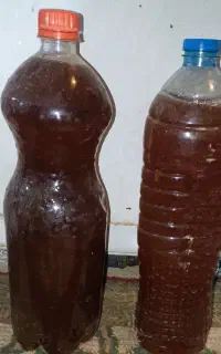 سرکه سیب