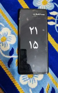 گوشی داریا درحد خشک