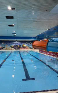 کلاس های آموزشی شنا در استخر ولیعصر اصفهان