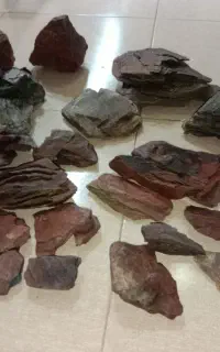 سنگ آکواریم