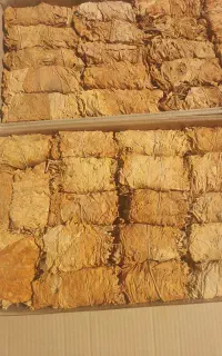 برگ زرد وحدتیه