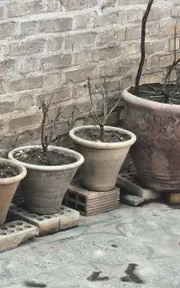 تعداد ۳۵عدد گلدان بزرگ وکوچک سفالی