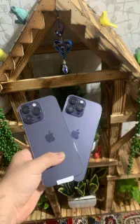 ۱۴ پرومکس